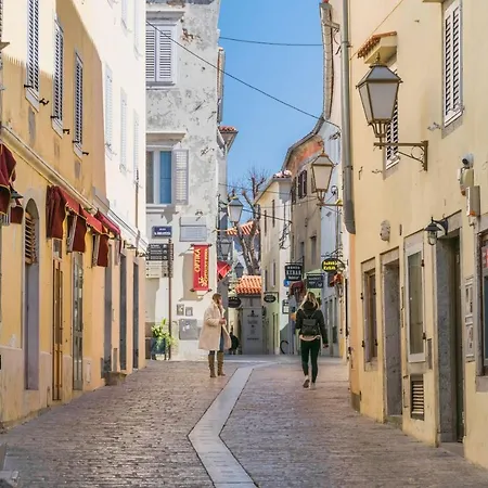 Punta & Vista In Krk